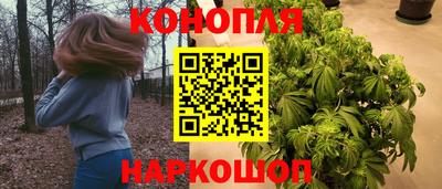 mdpv Краснознаменск