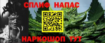 mdpv Краснознаменск