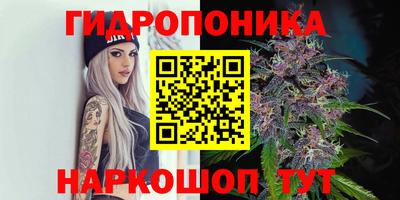 стаф Краснокаменск