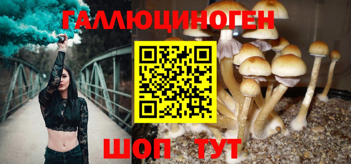 Семёнов  Галлюциногенные грибы мицелий  Вход с VPN  Псилоцибиновые грибы Psilocybe 