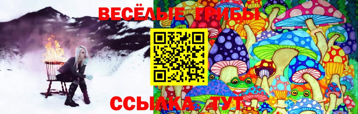 Псилоцибиновые грибы ЛСД Семёнов